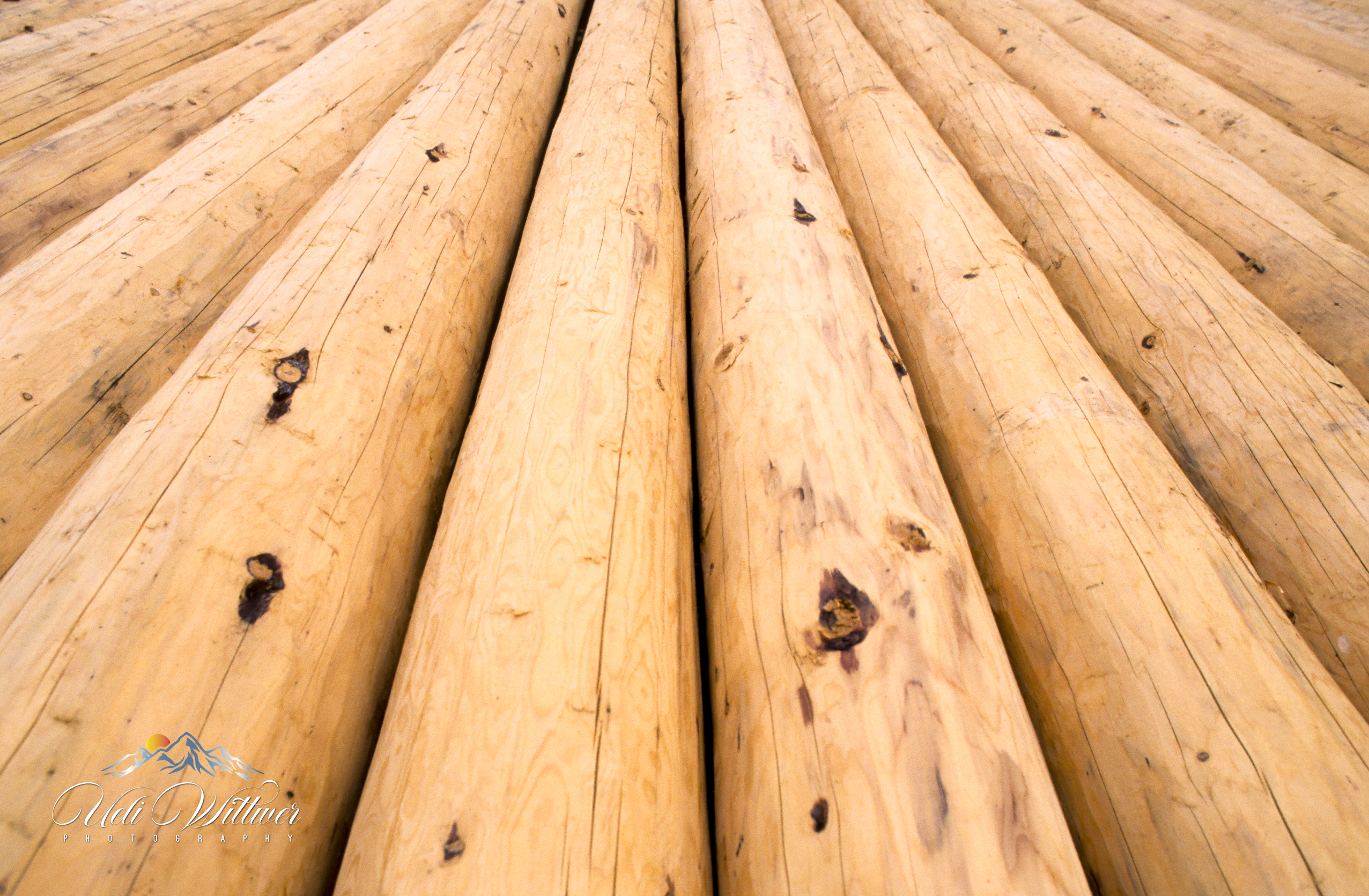 Auswahl der Holzstämme ist entscheidend für die Qualität des Blockhauses. Es werden in der Regel Rundhölzer aus Nadelholz verwendet