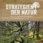 Erwin Thoma: Die Essenz nachhaltigen Bauens – Empfehlenswerte Bücher für Ihr Holzbauprojekt